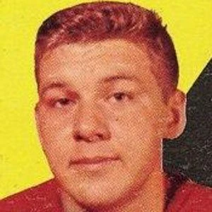 Alex Delvecchio - Networth, Biography, Birthdate, Family & More