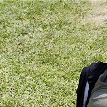 Dezi Solèy - Age, Bio, Birthdate, Family, Networth & More