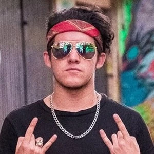 Di EQUISDE - Height, Bio, Wiki, Family, Birthplace, Networth & More