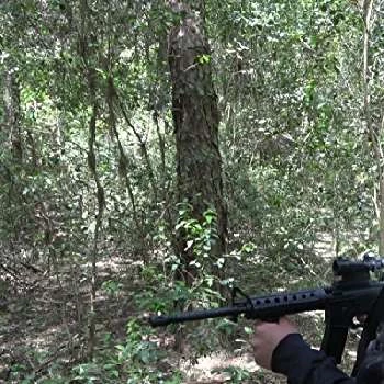 Diogo Quaresma - Age, Bio, Birthdate, Family, Networth & More