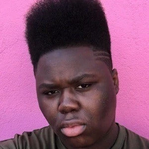 Denzel Dion Biography
