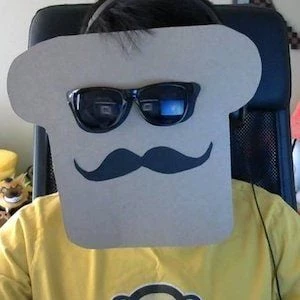 Disguised Toast Biography