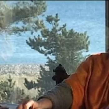 Dominique Callimanopulos - Age, Bio, Birthdate, Family, Networth & More