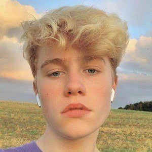 DomVlogs - Height, Bio, Wiki, Family, Birthplace, Networth & More
