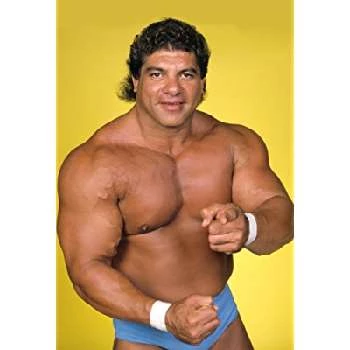 Don Muraco - Birthday, Bio, Wiki, Family, Networth & More