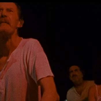 Don Stout - Date Of Birth, Bio, Birthdate, Parents, Networth & More