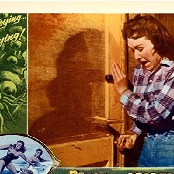 Dona Cole - Age, Bio, Birthdate, Family, Networth & More