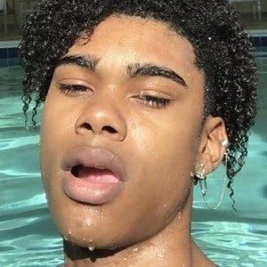 Donn Dew - Networth, Bio, Birthdate, Age, Family & More