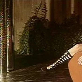 Donna Garrett - Income, Birthday, Family, Bio, Networth & More