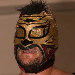 Lince Dorado - Profession, Biography, Birthdate, Family, Wiki & More