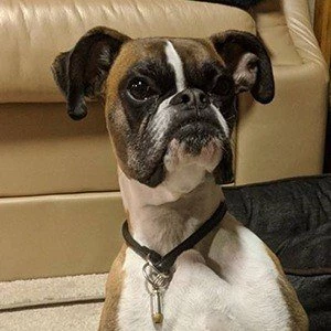 Duncan Lou Who - Date Of Birth, Bio, Birthdate, Parents, Networth & More