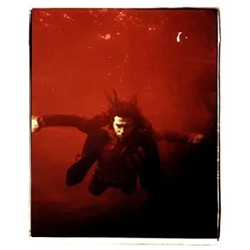 Ed Harcourt Biography