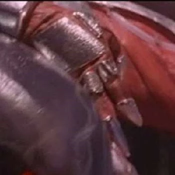 Ed Neil - Age, Bio, Birthdate, Family, Networth & More