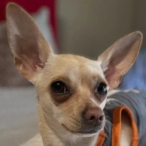 Edna Jean - Age, Bio, Birthdate, Family, Networth & More