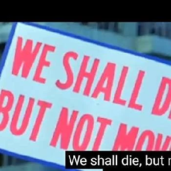 Ekram Kashmiri - Age, Bio, Birthdate, Family, Networth & More