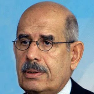 Mohamed ElBaradei - Income, Birthday, Family, Bio, Networth & More