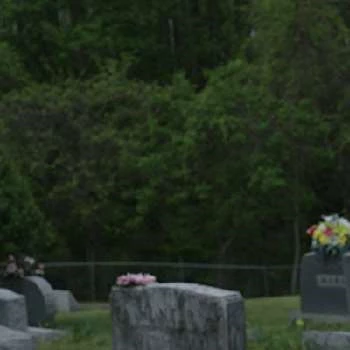 Emily Knapp - Age, Bio, Birthdate, Family, Networth & More