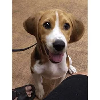 Emmy - Age, Bio, Birthdate, Family, Networth & More