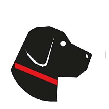 Emyr Jenkins - Age, Bio, Birthdate, Family, Networth & More