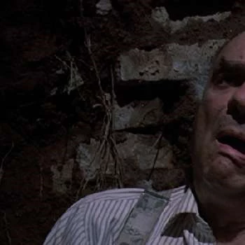 Enrico Ardizzone - Age, Bio, Birthdate, Family, Networth & More