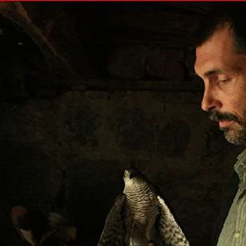 Erdal Besikçioglu - Age, Height, Birthdate, Bio, Family, Networth & More