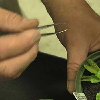 Eric Kunz - Age, Bio, Birthdate, Family, Networth & More