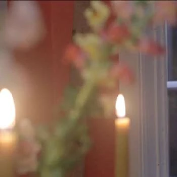 Eryn Foster - Age, Bio, Birthdate, Family, Networth & More