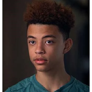 Ethan MacLean - Age, Bio, Birthdate, Family, Networth & More