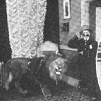 Ethel Teare - Profession, Biography, Birthdate, Family, Wiki & More