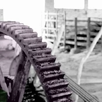 Euclides Nascimento - Age, Bio, Birthdate, Family, Networth & More