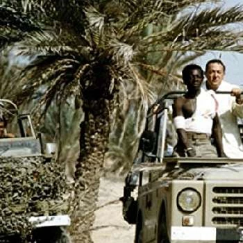 Éva Darlan - Networth, Biography, Birthdate, Family & More