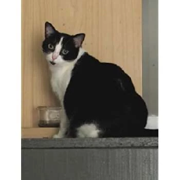 Eva Purron - Age, Bio, Birthdate, Family, Networth & More