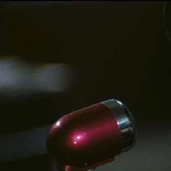 Evelyn Stewart - Adderess, Bio, Birthdate, Family, Wiki & More