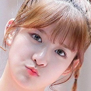 EXY - Biography, Birthdate, Family, Networth & More