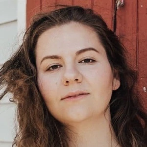 Dana Lynn Falsetti - Networth, Bio, Wiki, Family, Birthday, Networth & More