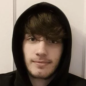 Farara ASMR - Wiki, Family, Bio, Birthdate, Networth & More