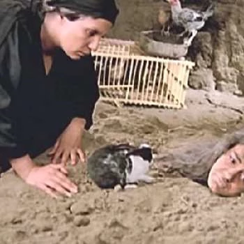 Fardous Abdel Hamid - Bio, Networth, Family, Age, Birthdate & More