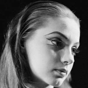 Suzanne Farrell - Networth, Bio,Birthdate, Family, Wiki & More