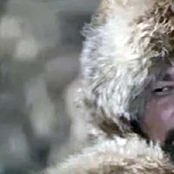 Farukh Kasymov - Income, Birthday, Family, Bio, Networth & More