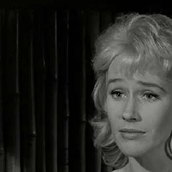 Felicity Young - Income, Birthday, Family, Bio, Networth & More