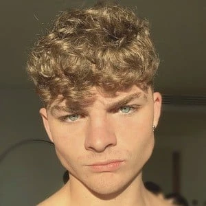 Mitch Fellingham - Adderess, Bio, Birthdate, Family, Wiki & More