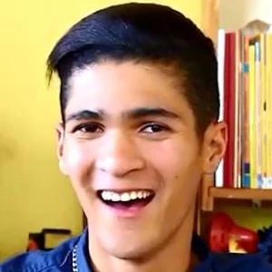 Mark Fitzgibbon Biography