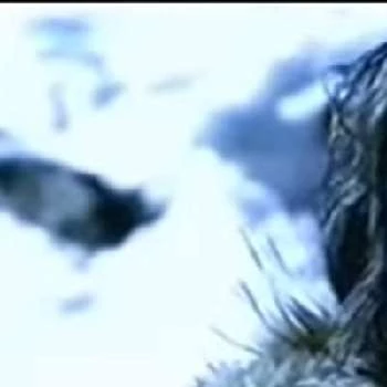 Florent Vollant - Age, Bio, Birthdate, Family, Networth & More