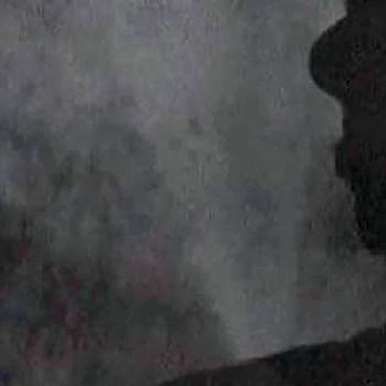 Florin Piersic - Networth, Bio, Wiki, Family, Birthday, Networth & More