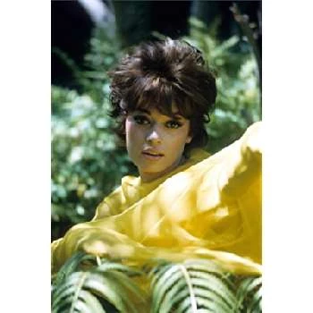 Fran Jeffries - Age, Wiki, Birthdate, Bio, Networth, Family & More