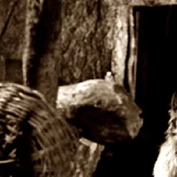 Francisco Petrone - Parents, Networth, Bio, Birthdate, Family Wiki & More