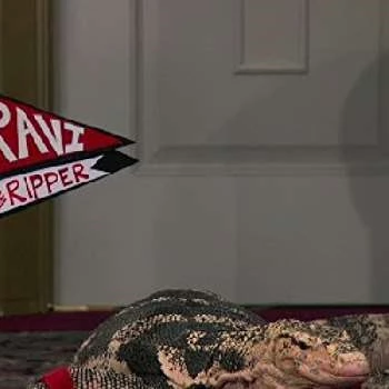 Frank - Age, Bio, Birthdate, Family, Networth & More