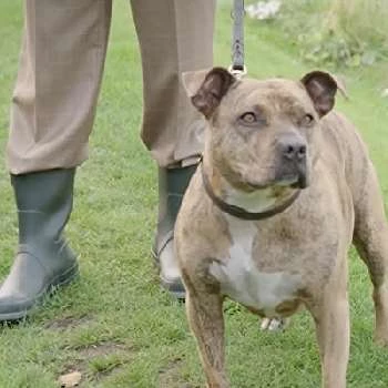 Freya - Age, Bio, Birthdate, Family, Networth & More