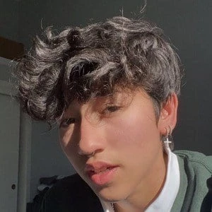 Miguel F. Pena Biography