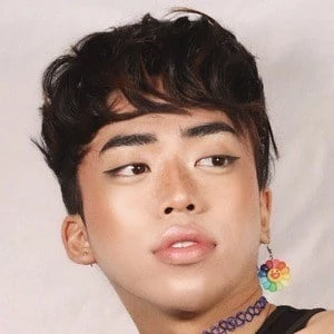 Stan Fukase - Height, Bio, Wiki, Family, Birthplace, Networth & More